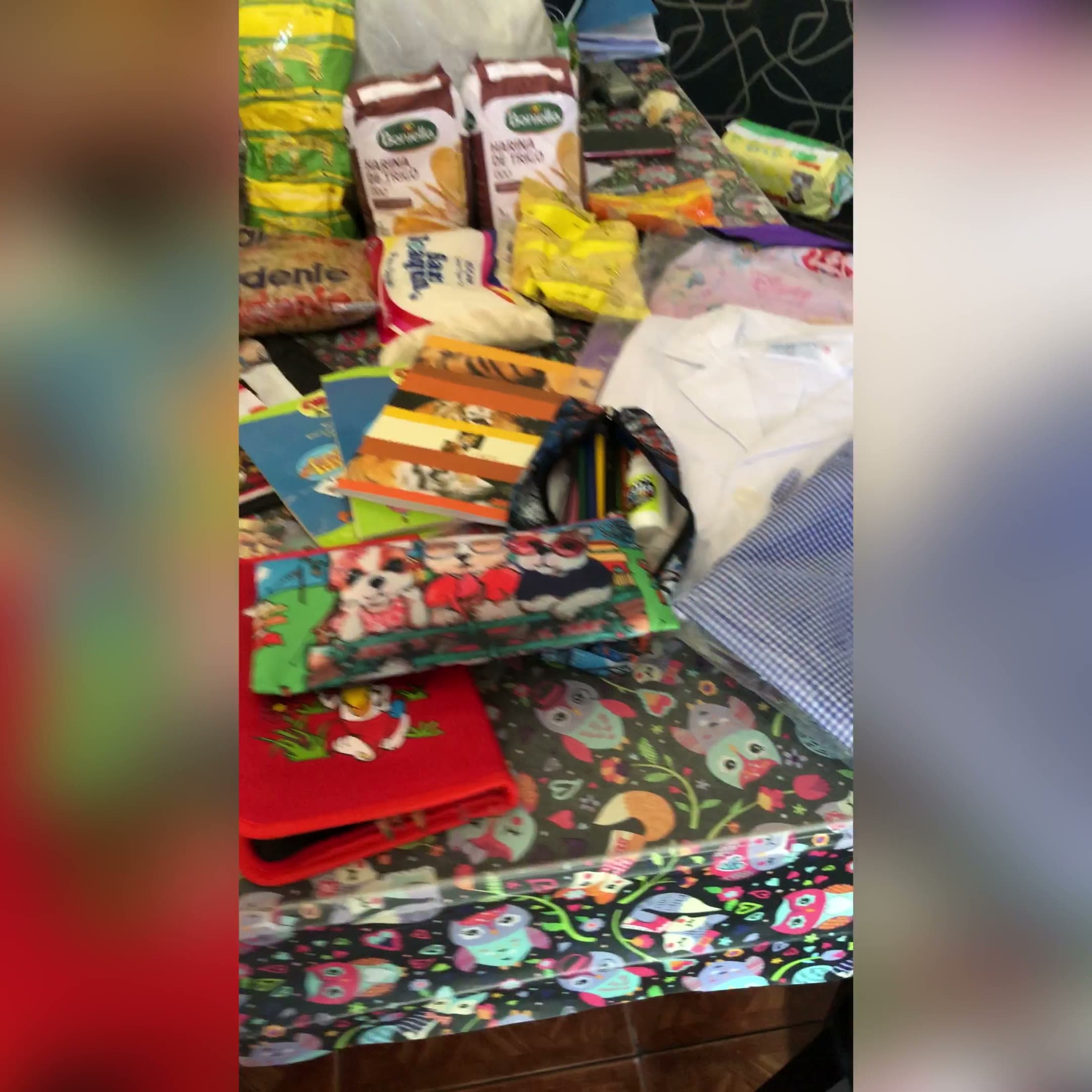 Útiles escolares, guardapolvos y mercadería preparados para entregar a los chicos